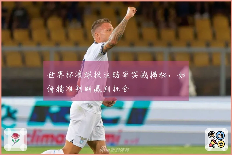世界杯滚球投注赔率实战揭秘，如何精准判断赢利机会