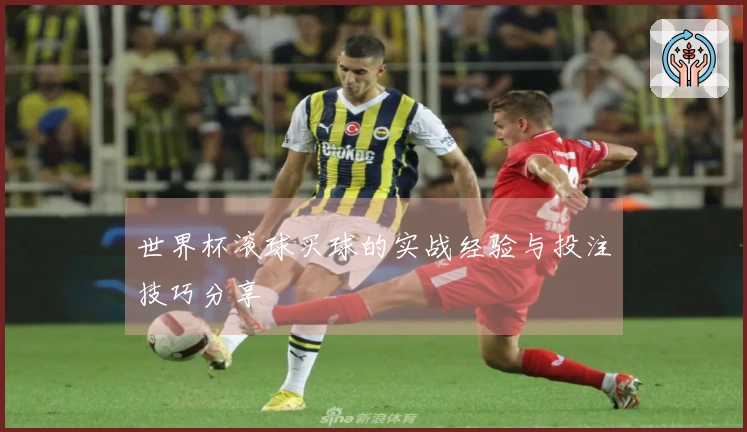 世界杯滚球买球的实战经验与投注技巧分享