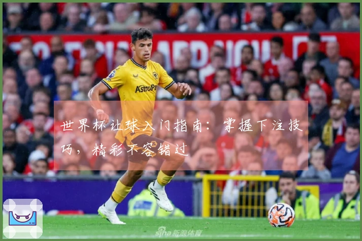 世界杯让球入门指南：掌握下注技巧，精彩不容错过