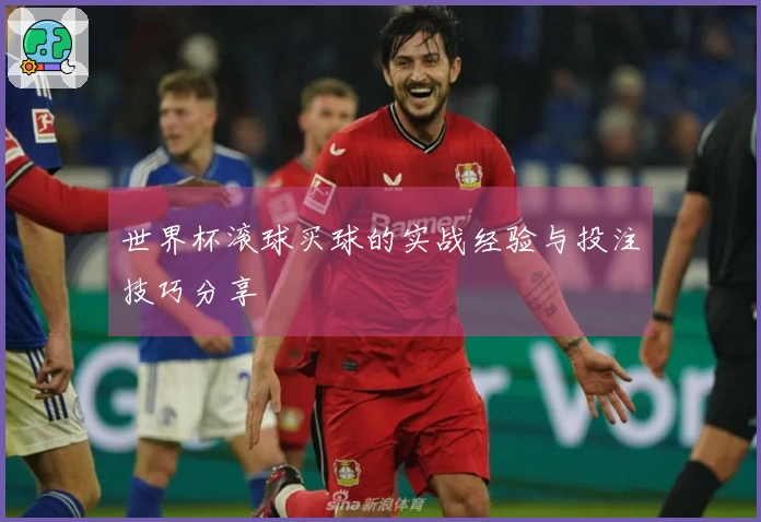 世界杯滚球买球的实战经验与投注技巧分享