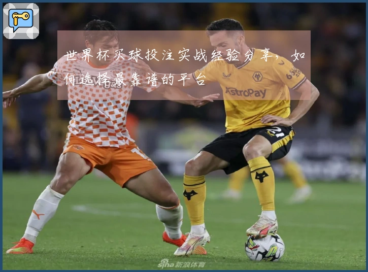世界杯买球投注实战经验分享，如何选择最靠谱的平台