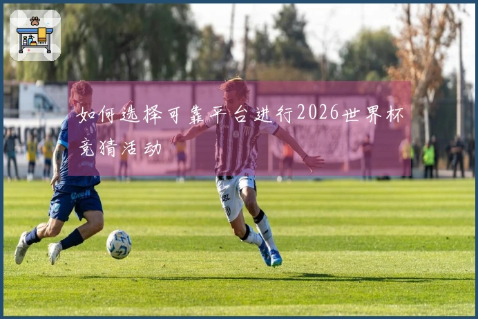 如何选择可靠平台进行2026世界杯竞猜活动