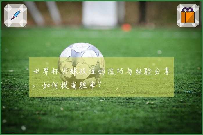 世界杯买球投注的技巧与经验分享，如何提高胜率？